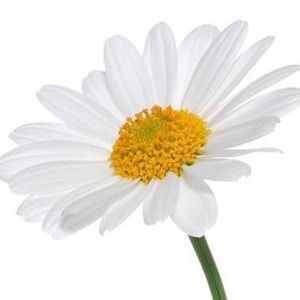 Meet your Posher, Valerie